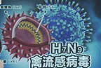 全国第4例禽流感病例 南京发现h7n9禽流感疑似病例