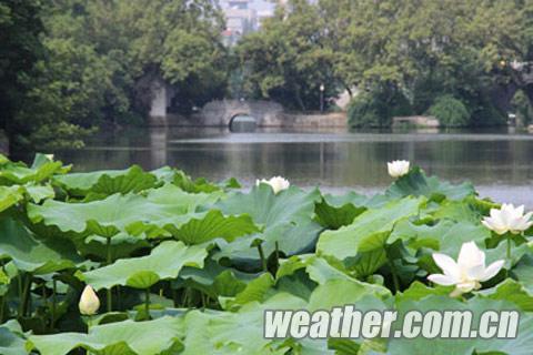 安徽2日气温将破38℃ 未来三天北部多短时雷阵雨