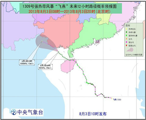 台风飞燕登陆