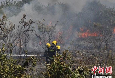 杭州火灾事故 8月8日上午杭州桐庐县森林起火