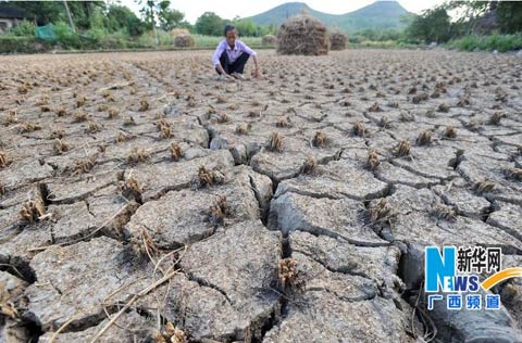 广西今年汛期降水偏少 35个地区出现干旱