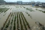 定西暴雨 8月24日定西市安定区发生特大暴雨致千人受