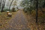 双鸭山下雪了 10月3日黑龙江双鸭山迎来今年第一场雪