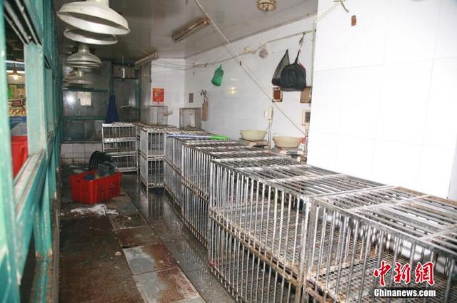 浙江感染h7n9病例2014年已有12人死亡，发现浙江h7n9人传人病例