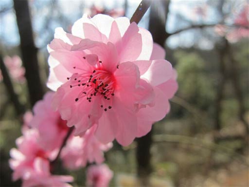 2014昆明春节天气