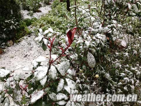 昆明下雪了