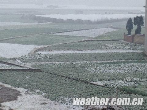 昆明下雪了