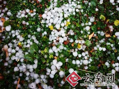 昆明下雪了