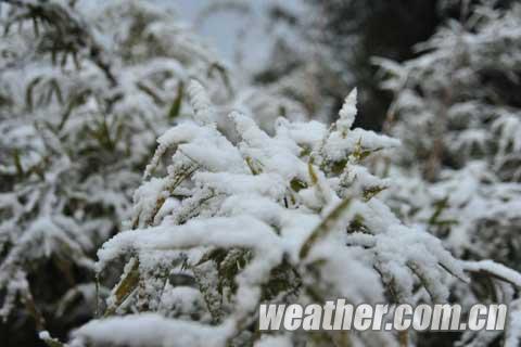 2014年冬天贵州省第一场大范围降雪1月13日停了