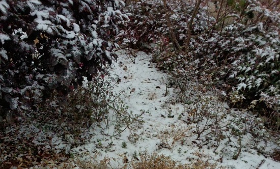 昆明2014年第一场雪