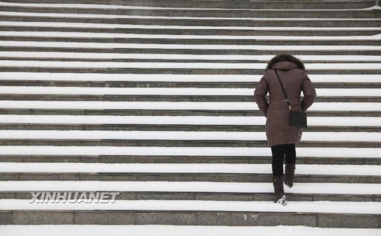 山东多地迎来2014年第一场雪