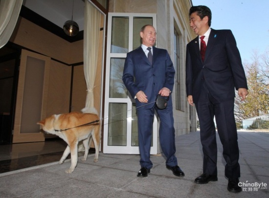 普京牵狗会见安倍