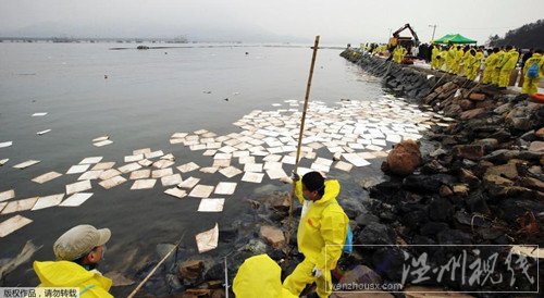 韩国上百吨原油泄露