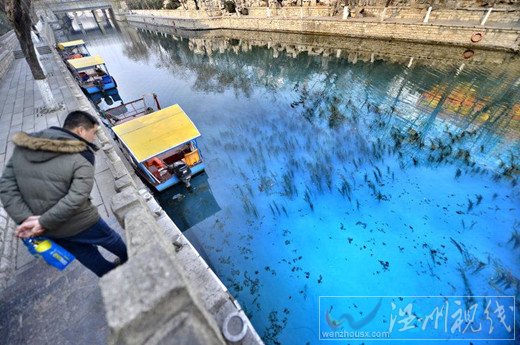 济南护城河被染色