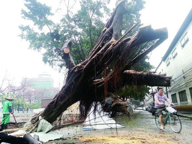 广州暴雨