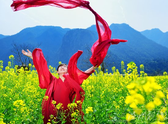 油菜花赏花