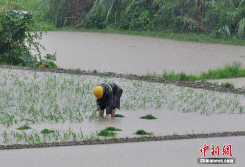 南方暴雨洪涝灾害