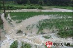 浙江暴雨持续 6月25日起浙江中北部地区有大雨到暴雨