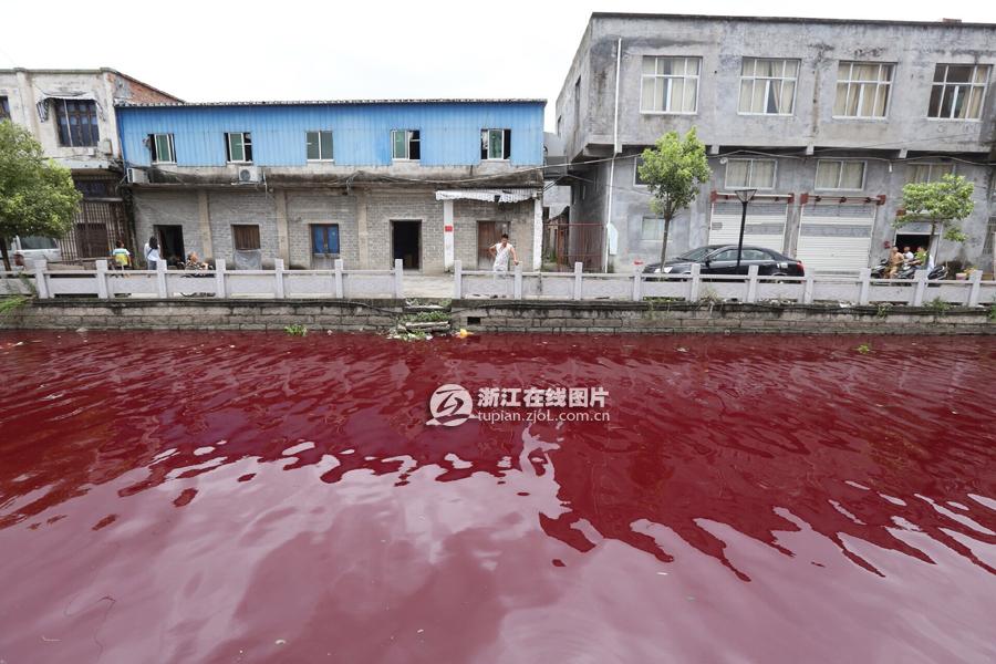 温州河水变血水 7月24日温州苍南一河水全部变成血一