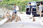 陈奕迅谢霆锋野营食物遭猴子哄抢 谢霆锋和陈奕迅吃