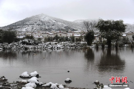 四川阿坝州红原大草原下雪了