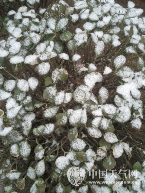 太原2015年第一场雪