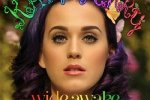 水果姐为什么叫水果姐 KatyPerry被大家叫水果姐原因是