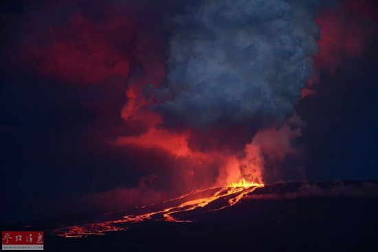 厄瓜多尔沃尔夫火山喷发