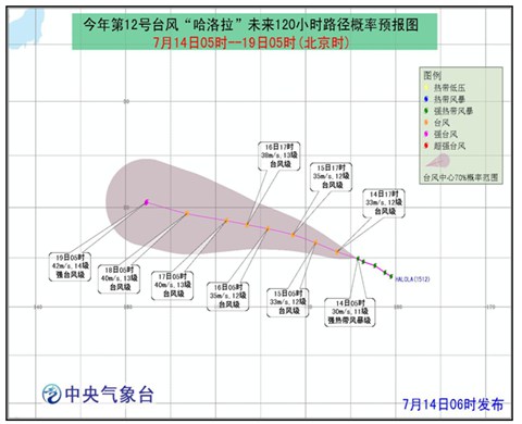 哈洛拉未来路径图