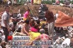 二十吨苹果遭哄抢 24日河南村民哄抢20吨苹果