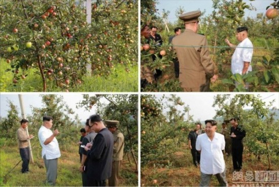 金正恩视察农场喜笑颜开