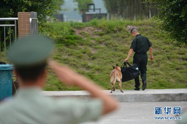 老兵退伍警犬不放