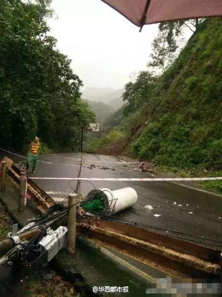 峨眉山大树倾倒砸死游客