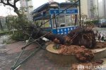 湛江台风彩虹造成1人死亡16人失踪