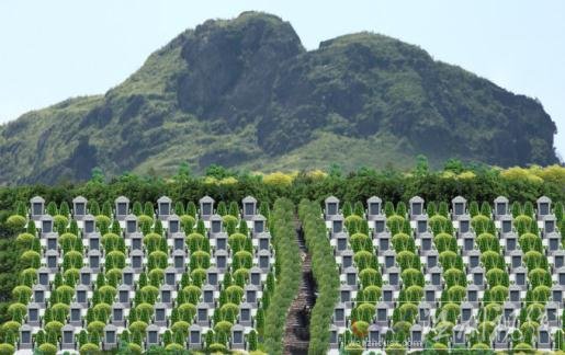 墓地被侵占起诉 丈夫的墓地被部分侵占