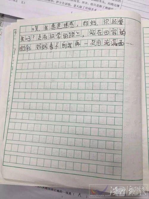 小学生因缺少关爱写心酸作文