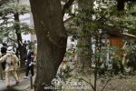 靖国神社爆炸 最新消息