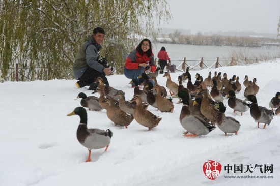 延庆暴雪