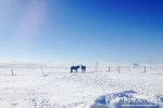 冷空气来袭北方风雪 2015年12月14日至16日南方将湿冷