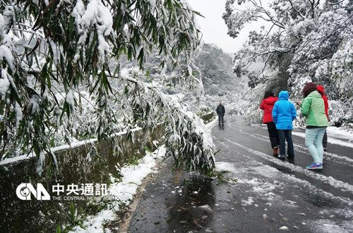 台湾冻死人