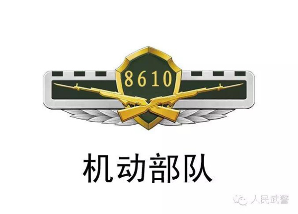 武警更换标志服饰