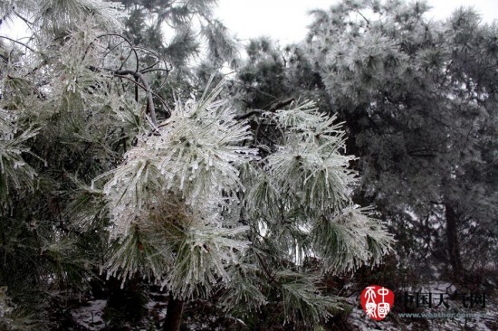 广西寒潮影响 三月雨雪冰挂