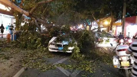 广西强对流天气 13年来最大范围冰雹灾害