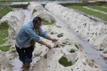 永州市道县下冰雹 大风暴雨冰雹灾害农作物和民房受