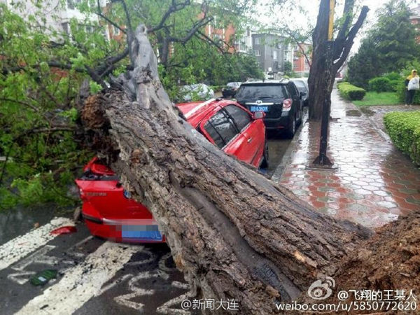 辽宁现强风雨雨量破纪录风力堪比台风 明起转晴