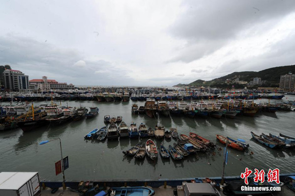 福建防御台风尼伯特