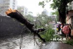 福州强对流天气 瞬时大风堪比台风