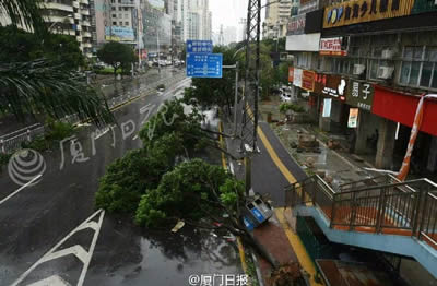 台风莫兰蒂袭击厦门 福建全省受大风暴雨影响