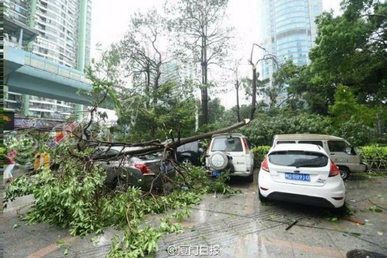 台风莫兰蒂袭击厦门