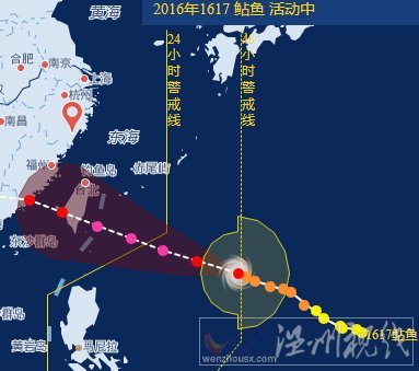 福建台风鲇鱼